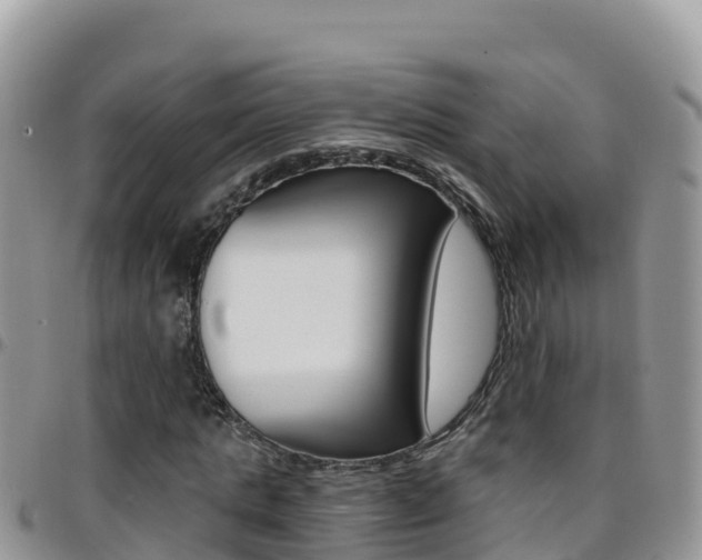 X0000096200821200801181029