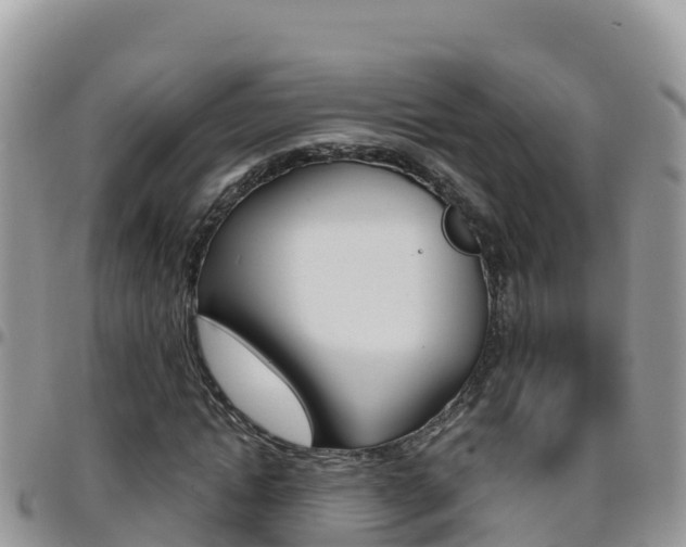 X0000096200822200801181029