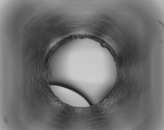 X0000096200823200801181029