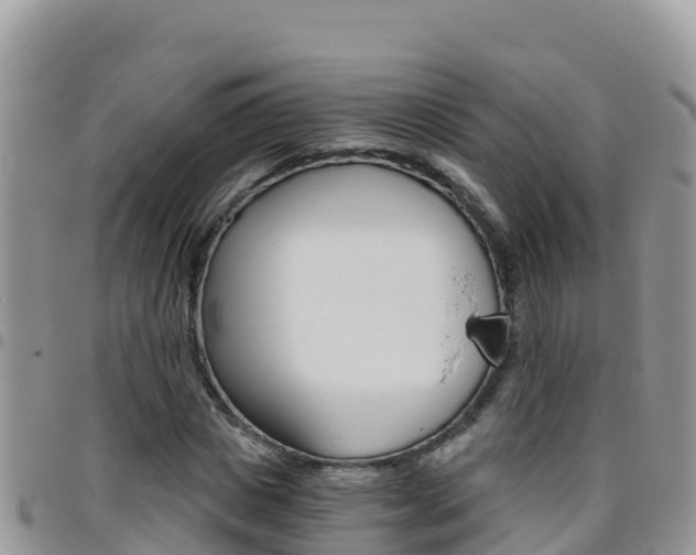 X0000096200825200801181029