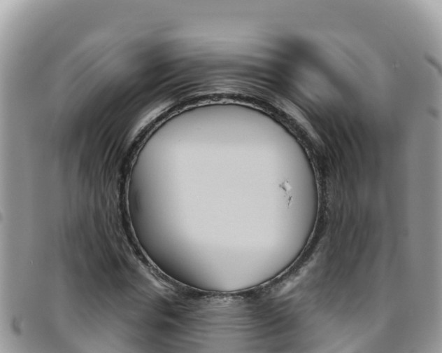 X0000096200826200801181029
