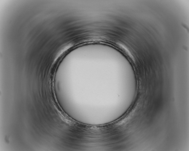 X0000096200827200801181029