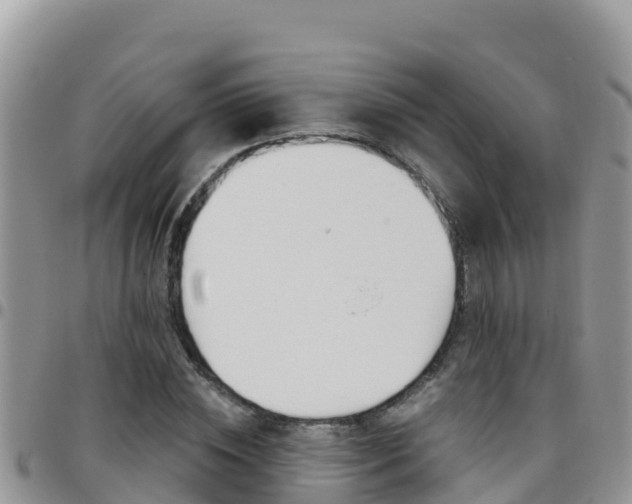 X0000096200828200801181029