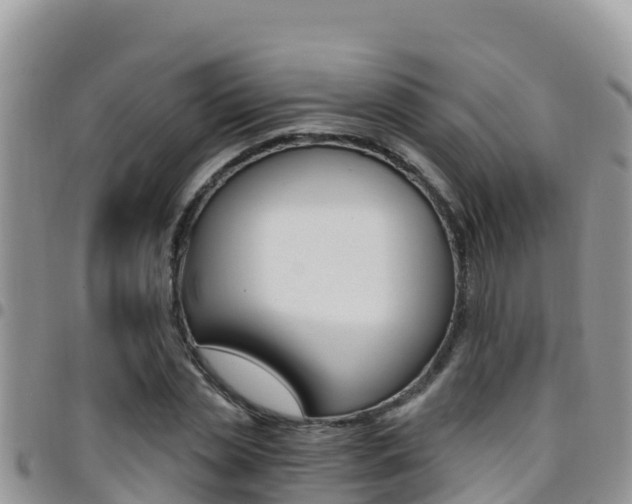 X0000096200829200801181029