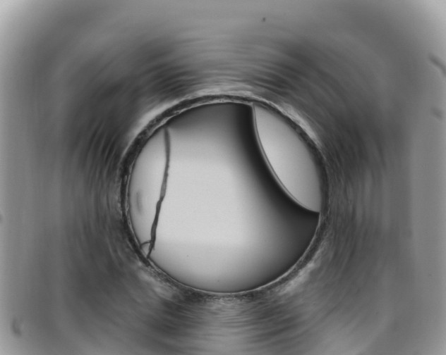 X0000096200830200801181029