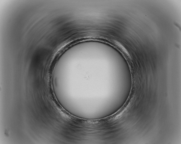 X0000096200831200801181029