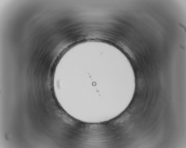 X0000096200832200801181029