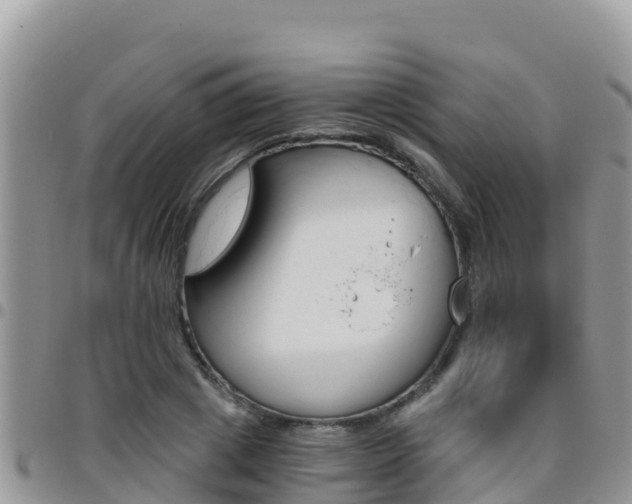 X0000096200833200801181029