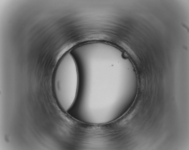 X0000096200834200801181029