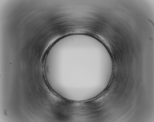 X0000096200835200801181029