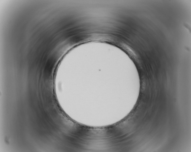 X0000096200836200801181029