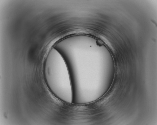 X0000096200837200801181029