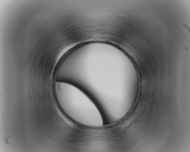X0000096200838200801181029