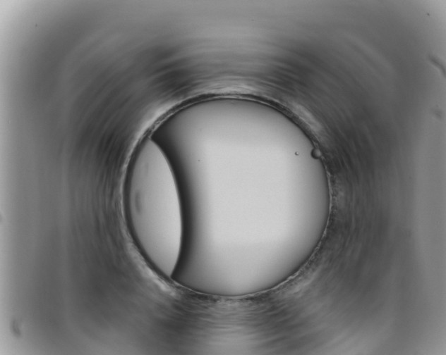 X0000096200840200801181029
