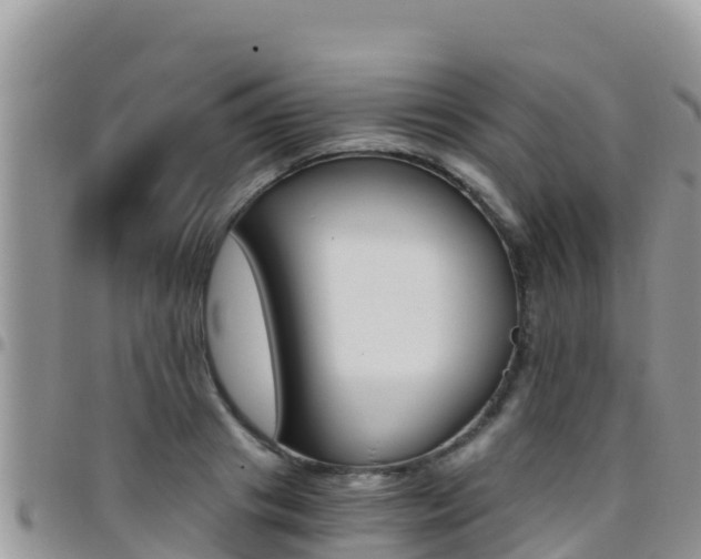 X0000096200841200801181029