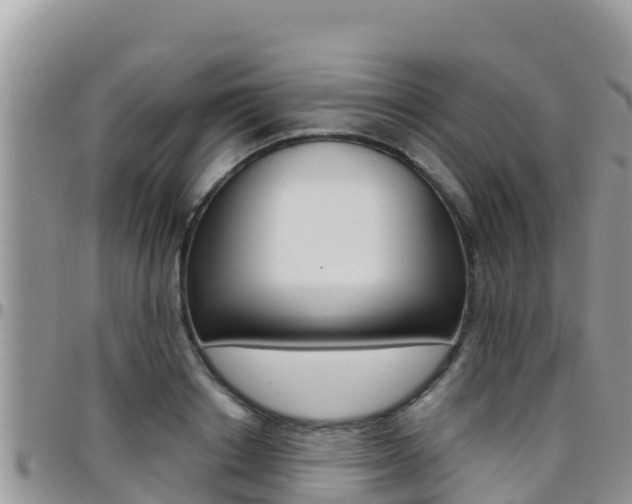 X0000096200842200801181029