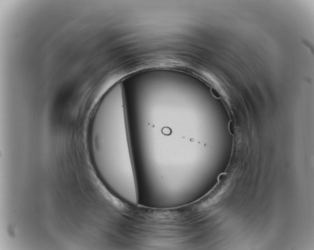 X0000096200843200801181029