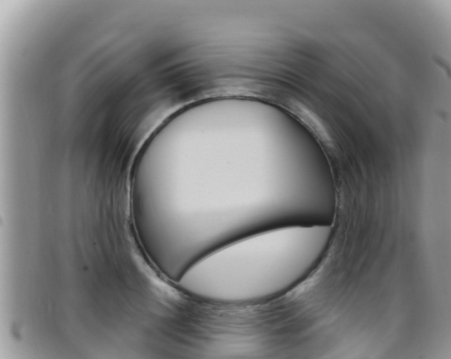 X0000096200844200801181029