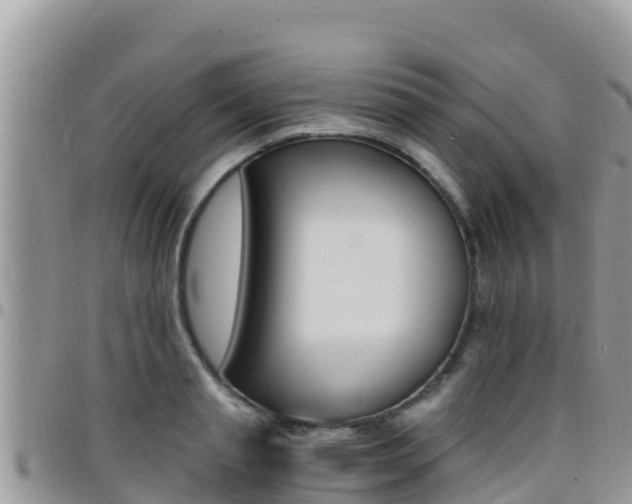 X0000096200845200801181029
