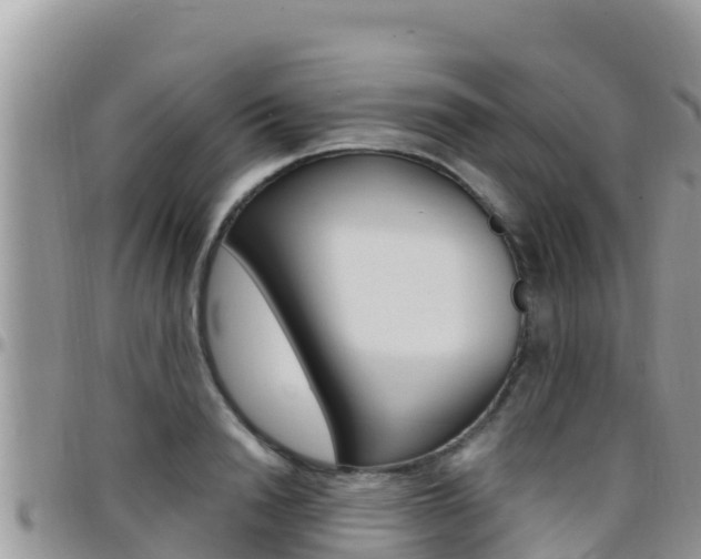 X0000096200846200801181029