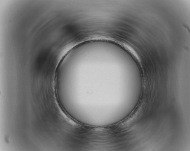 X0000096200847200801181029