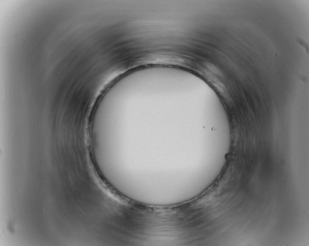 X0000096200848200801181029