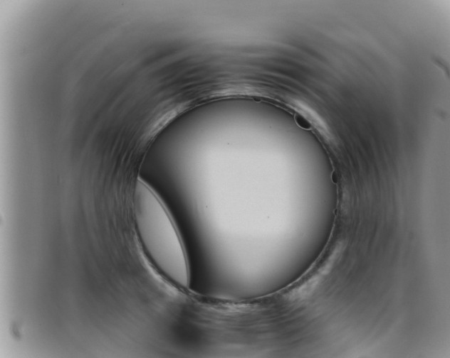 X0000096200849200801181029