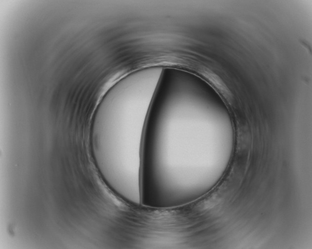 X0000096200850200801181030