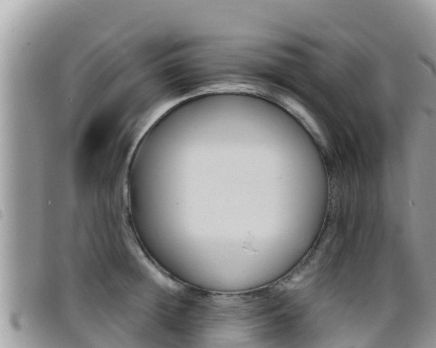 X0000096200852200801181030