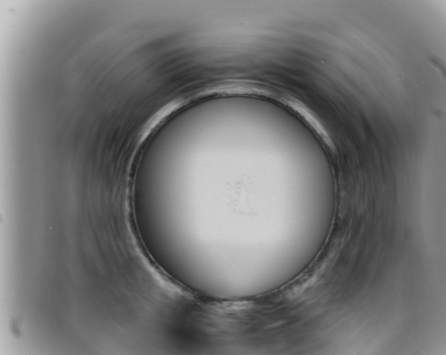 X0000096200853200801181030