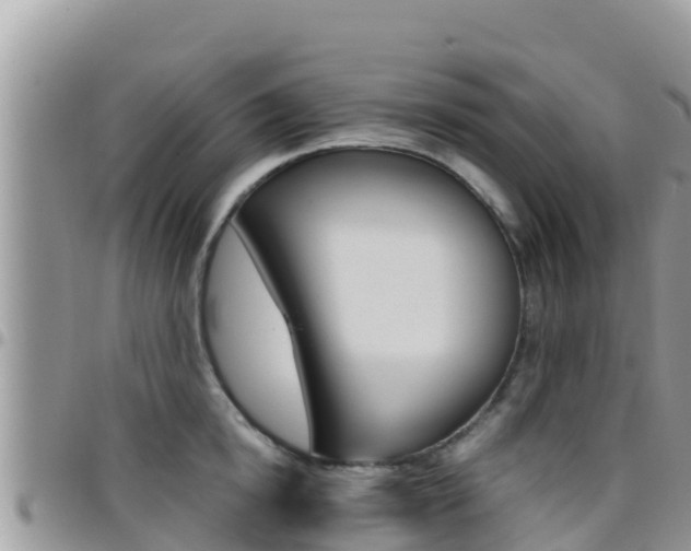 X0000096200854200801181030