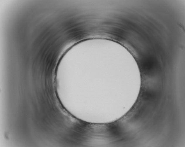 X0000096200856200801181030