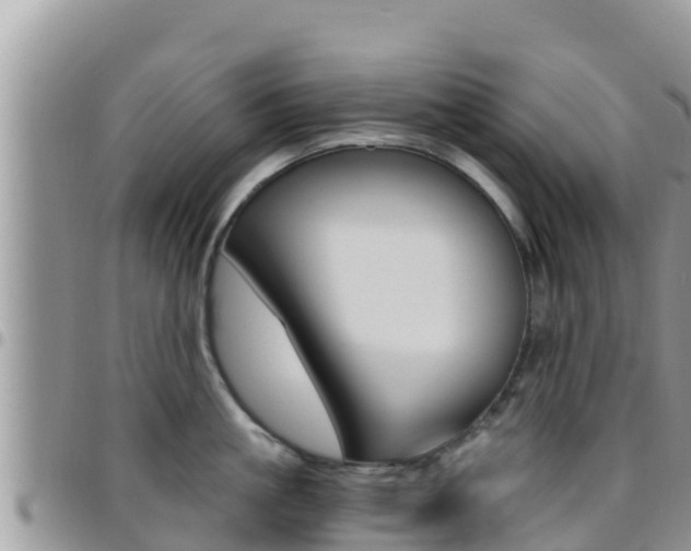X0000096200861200801181030