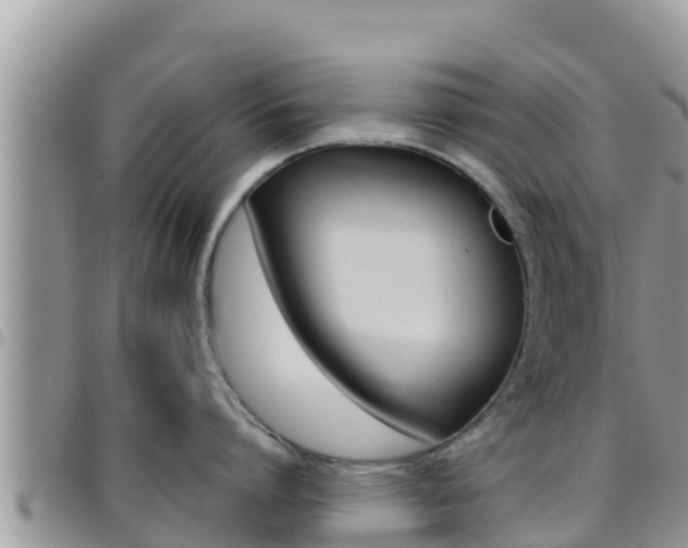 X0000096200864200801181030
