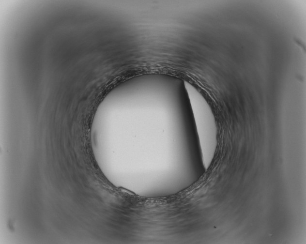 X0000096200865200801181029