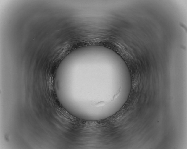 X0000096200866200801181029