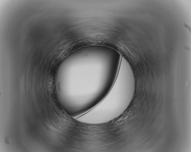 X0000096200867200801181029