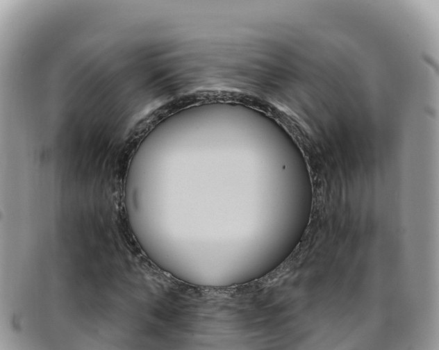 X0000096200870200801181029