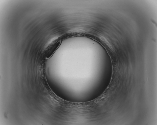 X0000096200872200801181029