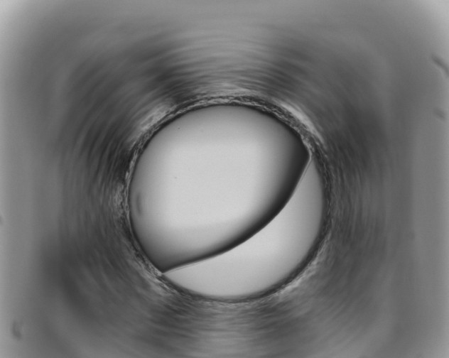 X0000096200873200801181029