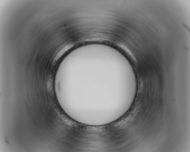 X0000096200874200801181029