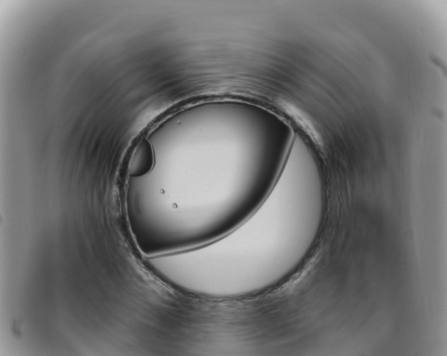 X0000096200876200801181029