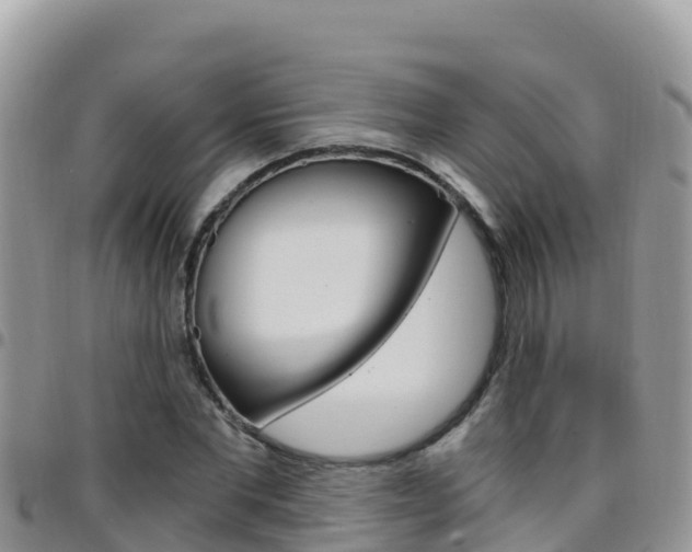 X0000096200877200801181029