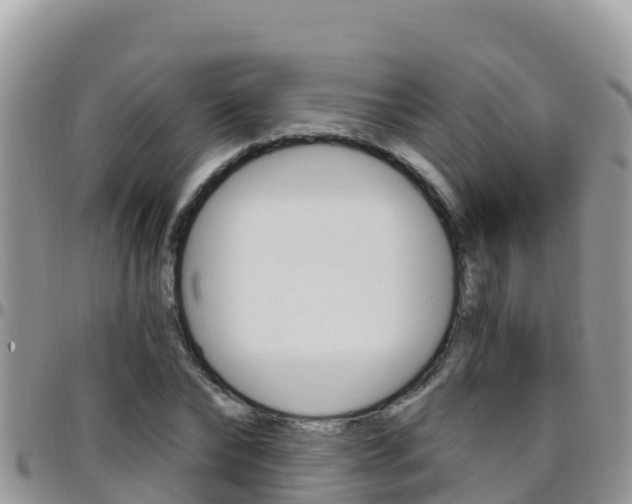 X0000096200878200801181029