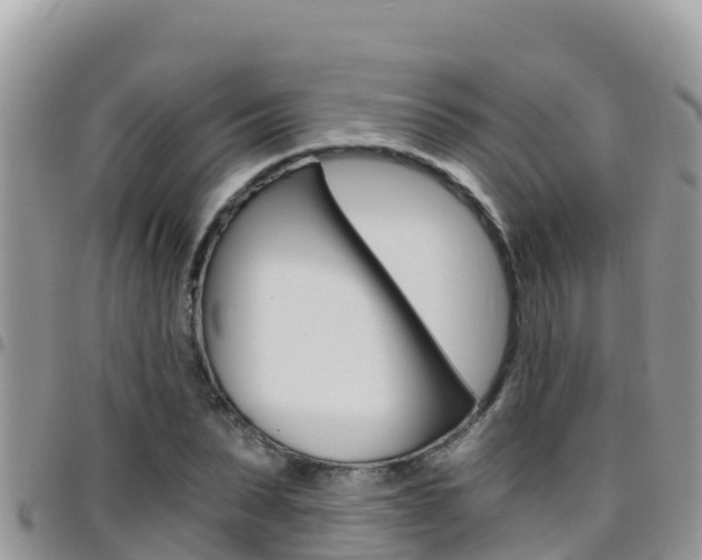X0000096200879200801181029