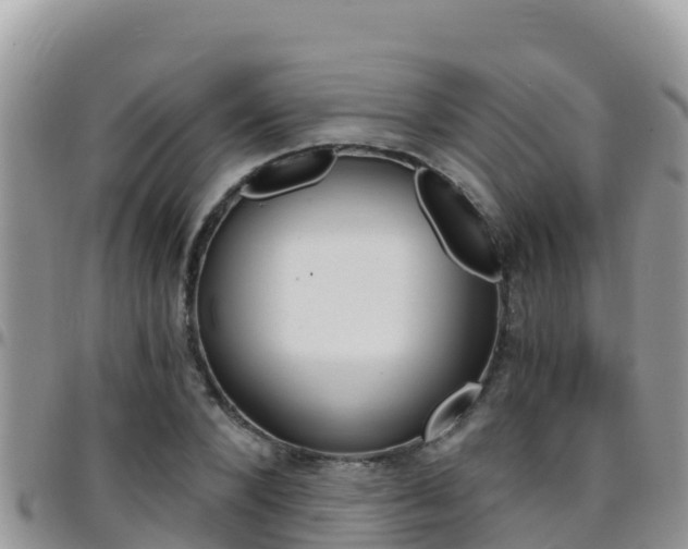 X0000096200880200801181029
