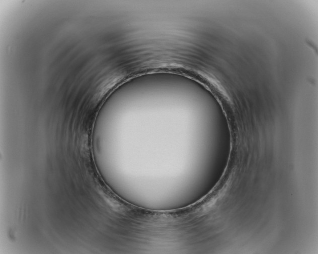 X0000096200881200801181029