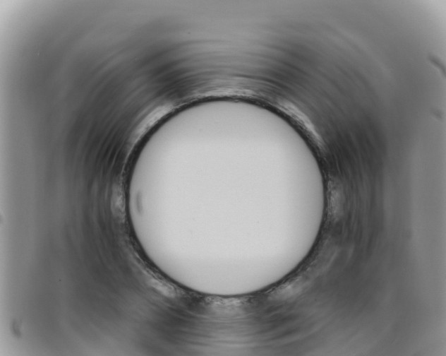 X0000096200882200801181029