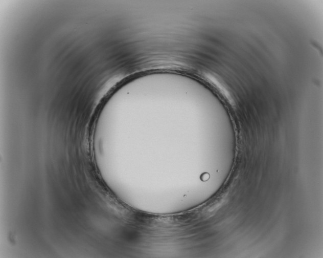 X0000096200883200801181029