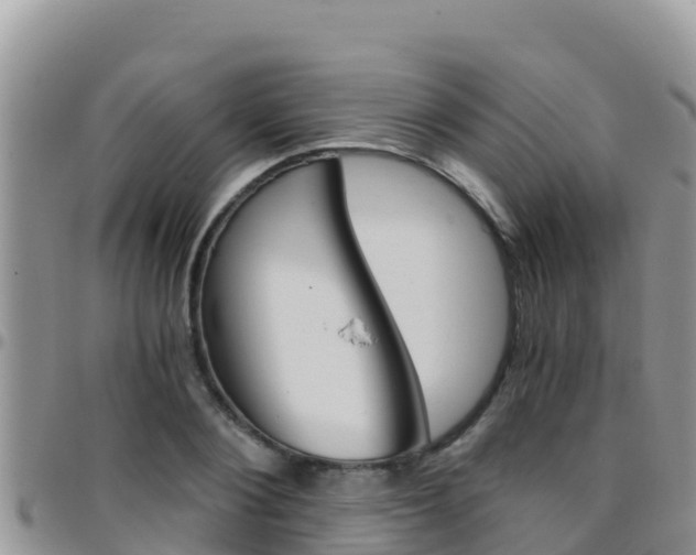 X0000096200884200801181029